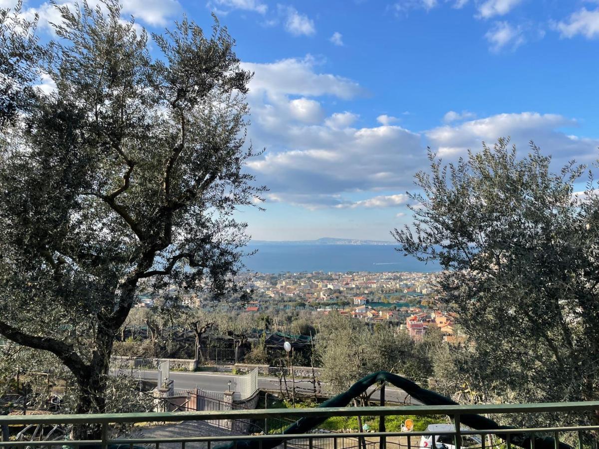 Sky View Villa Piano di Sorrento Esterno foto
